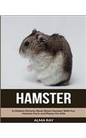 Hamster