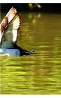 Tufted Ducks in Flight Notebook