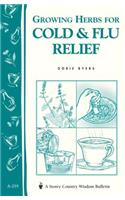 Growing Herbs for Cold & Flu Relief