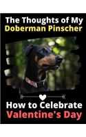 The Thoughts of My Doberman Pinscher