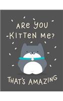 Are You Kitten Me? That's Amazing: Sketch Book Blank Pages size 8.5"x 11" 100 pages - Cute Grey Kitten Cover Great for Drawing, Sketching, Writing and Given as a Gift -