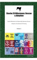 Sharbo 20 Milestones