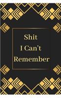 Shit I Can't Remember