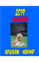 2019 Calendar Afghan Hound: Dog weekly calendar, personal contacts list, password log, notes and to do list