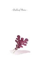 Oakleaf Notes: 6"x9" Ruled Lined Notebook - Watercolor Texture Vegetable Plant Illustration Cover. Matte Softcover And White Interior Papers.