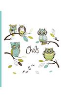 Cute Owl Notebook: Wide Ruled 8x10 75 Sheets 150 Pages, Owl Cartoon Cover Art Makes Great Gift for Owl Lovers, Composition Book, Teal Baby Owl