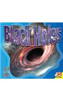 Black Holes