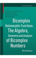 Bicomplex Holomorphic Functions