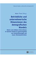 Betriebliche Und Unternehmerische Dimensionen Des Demografischen Wandels