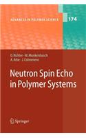 Neutron Spin Echo in Polymer Systems