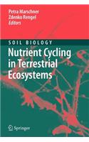 Nutrient Cycling in Terrestrial Ecosystems