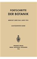 Bericht Über Das Jahr 1955