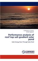 Performance analysis of roof top salt gradient solar pond