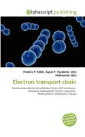 Electron Transport Chain