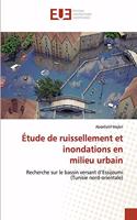 Étude de ruissellement et inondations en milieu urbain