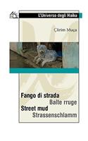 Fango di strada / Street mud