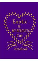 Exotic Is My Beloved Cat Notebook