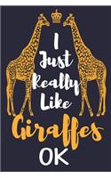 I Just Really Like Giraffes, OK