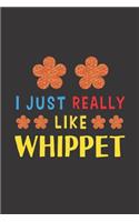 I Just Really Like Whippet