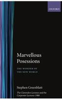 Marvelous Possessions