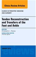 Tendon Repairs and Transfers for the Foot and Ankle, An Issue of Clinics in Podiatric Medicine & Surgery