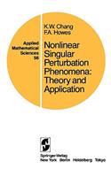 Nonlinear Singular Perturbation Phenomena