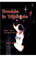 Trouble in Triplicate: Books 1 Thru 3