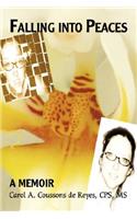 Falling into Peaces: A Memoir(English)