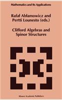 Clifford Algebras and Spinor Structures