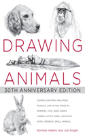 Drawing Animals