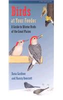 Birds at Your Feeder