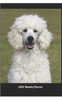 Plan On It 2020 Weekly Calendar Planner - I Love Poodles - Let's Play!