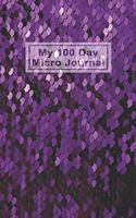 My 100 Day Micro Journal: A Daily Guided Journal for All Ages (includes a summary page every 10 days)