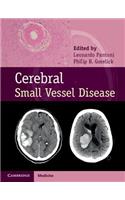 Cerebral Small Vessel Disease