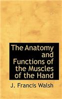 Anatomy and Functions of the Muscles of the Hand