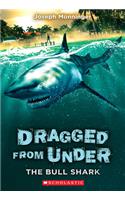 The Bull Shark (Dragged from Under #1)