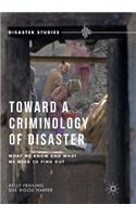 Toward a Criminology of Disaster