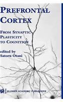 Prefrontal Cortex: From Synaptic Plasticity to Cognition(English)
