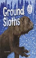 Ground Sloths