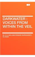 Darkwater: Voices from Within the Veil