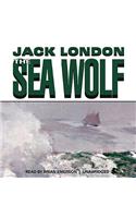 The Sea Wolf
