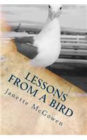 Lessons From A Bird