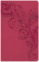 KJV Large Print Personal Size Reference Bible, Pink Leathertouch Indexed