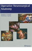 Operative Neurosurgical Anatomy