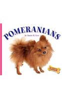Pomeranians