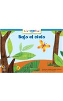 Bajo El Cielo = Under the Sky