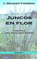 Juncos en flor