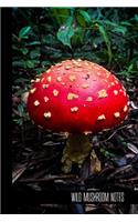 wild mushroom notes