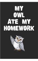 My Owl Ate My Homework Notebook