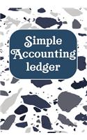 Simple Accounting Ledger